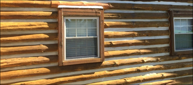 Log Home Whole Log Replacement  Ragland, Alabama